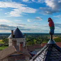 peroquet_chateau_treffort.jpg